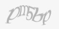 Защитный код