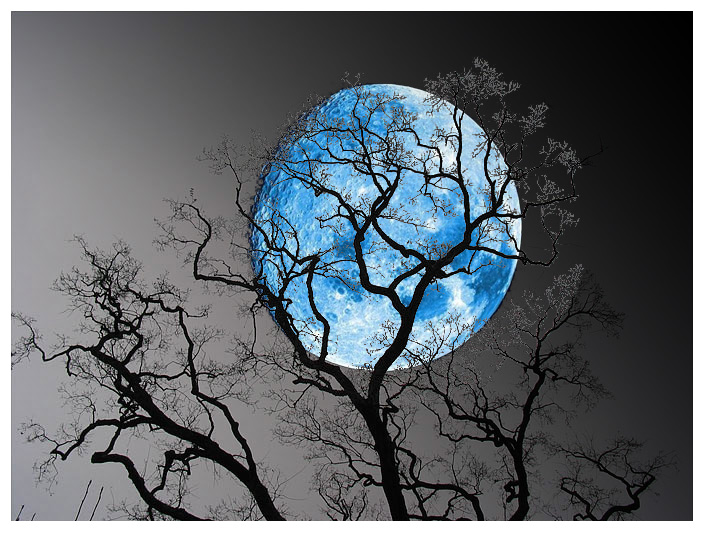 blue-moon-2-large.jpg